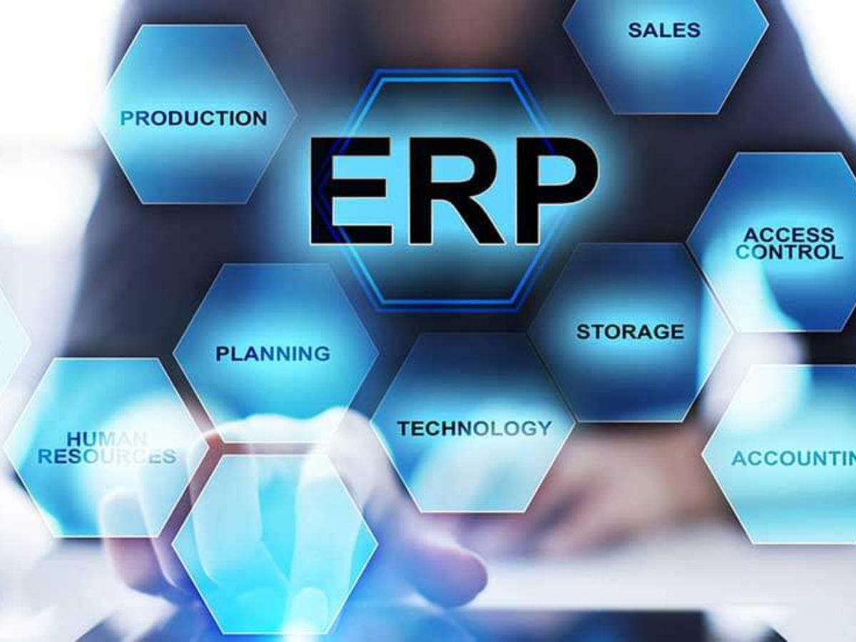 ERP System Customization