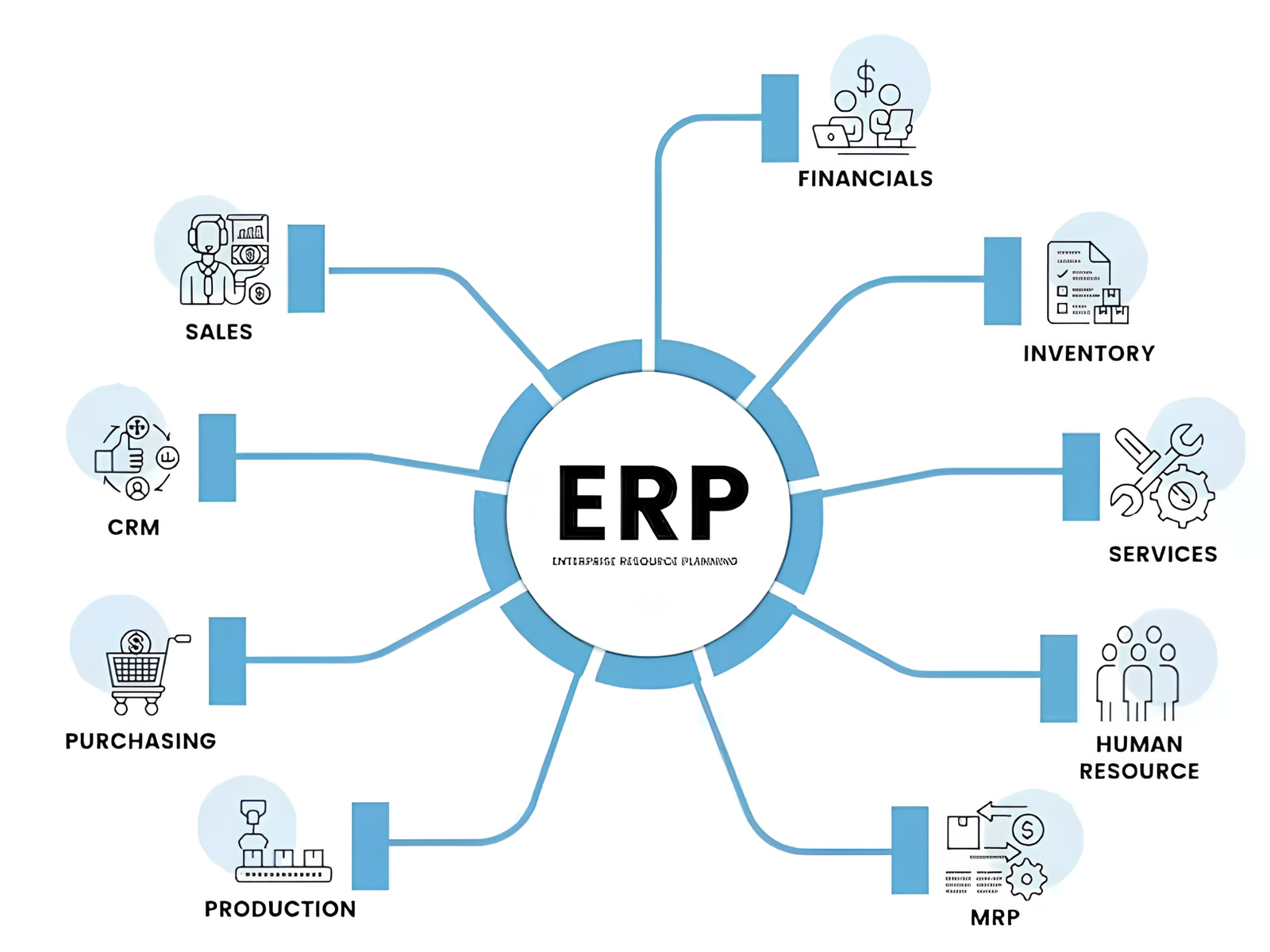 ERP Vendor Selection